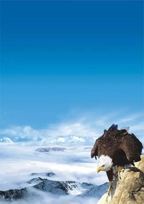 股权投资是什么意思